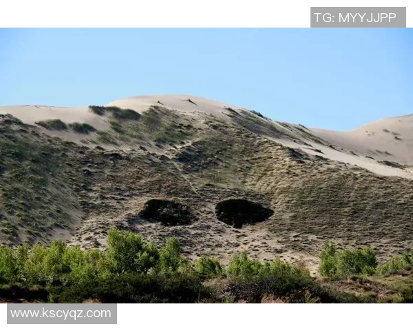 重温93年香港足球明星队的辉煌岁月与传奇故事 重温93年香港足球明星队的辉煌岁月与传奇故事
