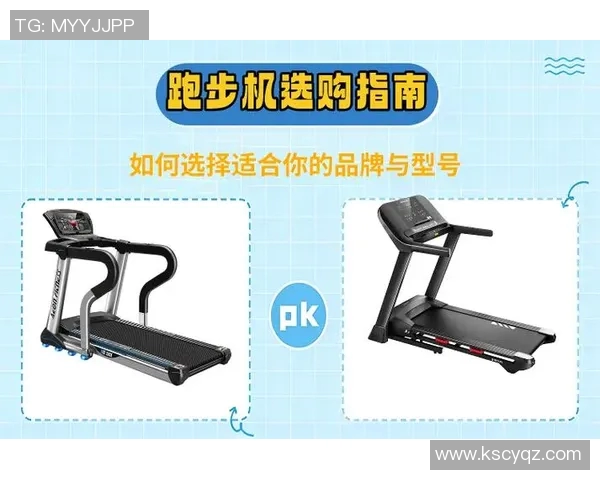 户外体育器材价格分析及选购指南助您找到性价比最高的产品